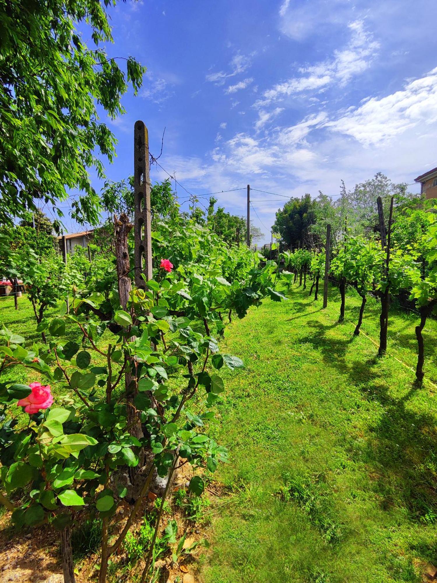 Bed and Breakfast Garda Relais Antica Romelia Montichiari Exterior foto
