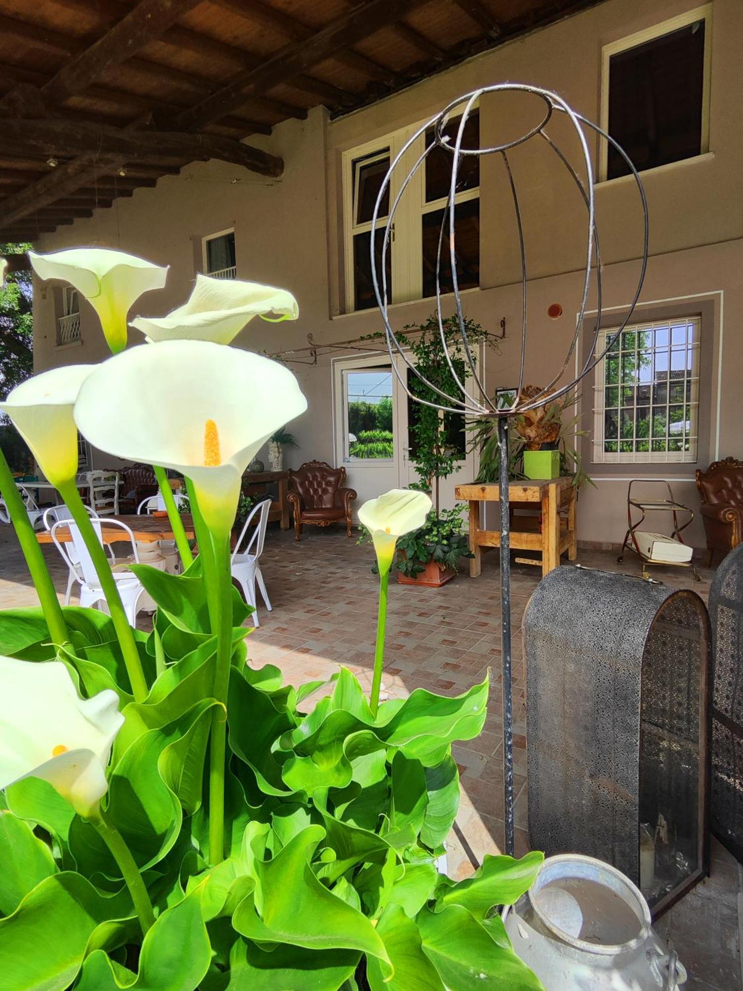 Bed and Breakfast Garda Relais Antica Romelia Montichiari Exterior foto